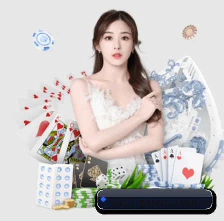 3377体育 APP